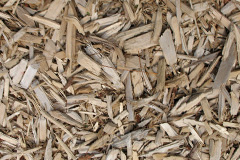 biomass boilers Marshwood