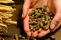 Marshwood pellet boiler